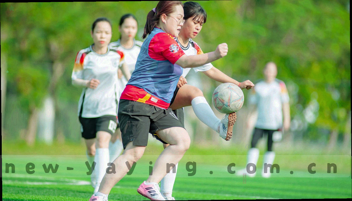 以线条勾勒的贵州山地抽象地图底纹